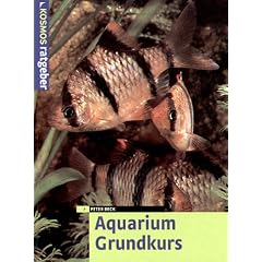 Aquarium Grundkurs