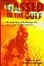 Book Gassed in the Gulf: The Inside Story of the Pentagon-CIA Cover-Up of Gulf War Syndrome