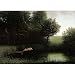 (20x28) Michael Sowa Diving Pig Kohler's Schwein Art Print Poster