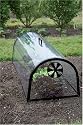 Haxnicks Outdoor Kitchen Garden Cloche For Your Plants
