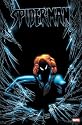 Amazing Spider Man Marvel comics POSTER RARE spiderman - 36" x 24"