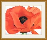 Red Poppy by Georgia OKeeffe - Framed Artwork