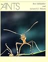 The Ants