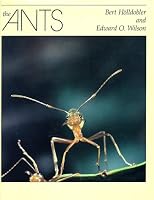 The Ants