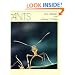The Ants