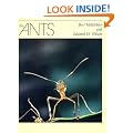 The Ants
