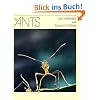 The Ants