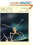 The Ants