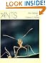 The Ants