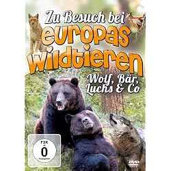 Zu Besuch Bei Europas Wildtieren