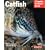 Pet Manual: Catfish (A Complete Pet Owner's Manual)