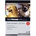 DVD hunde und menschen