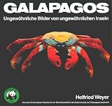 Galapagos. Ungew�hnliche Bilder von ungew�hnlichen Inseln