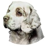Clumber Spaniel Sticker2008