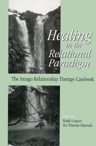 Healing in the Relational Paradigm: The Imago Relationship Therapy Casebook (Essays in Developmental Psychology)