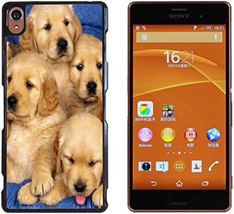 Golden Retriever Dog Hard Plastic and Aluminum Back Case For Sony Xperia Z3