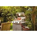 Gasgrill Monroe 3 SK