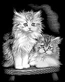 UPC 780804030013 product image for Reeves Fluffy Kittens Scraperfoil Artwork, Silver | upcitemdb.com