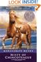 Misty of Chincoteague