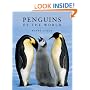 Penguins of the World
