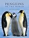 Penguins of the World