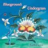 Image of album by Blueground Undergrass