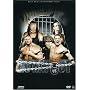 WWE No Way Out 2007