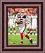 Framed Trent Edwards Buffalo Bills 8x10 Photo