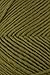 Brown Sheep - Lambs Pride Worsted Knitting Yarn - Fresh Moss (# 171)