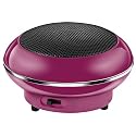 Wave Master Mobile Speaker System Pink?