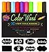 Color Wand Reversible Tip Liquid Chalk Markers, (10 Pens)