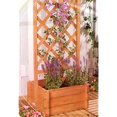 Spalier Rankhilfe Rankgitter mit Blumenkasten in Holz