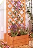 Spalier Rankhilfe Rankgitter mit Blumenkasten in Holz
