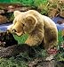 Grizzly Bear Cub