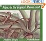 Here is the Tropical Rainforest