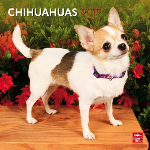 Browntrout Verlags Gmbh Chihuahuas 2012