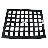 RJS Racing 1000 Black 24 X 24 SFI Approved Ribbon Window Net