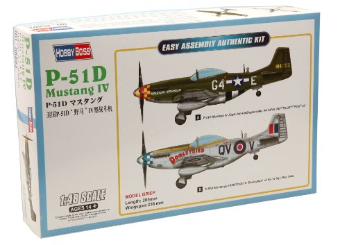 HobbyBoss 85802 - 1/48 P-40E Kitty Hawk Fighter