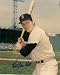 Autographed/Hand Signed Carlton Fisk Boston Red Sox Photo
