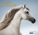 ... geliebte Pferde 2012