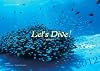 2012うみまーる壁掛カレンダー‘Let's Dive! 〜海の中へ〜’