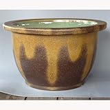 信楽焼 窯肌輪型水鉢 18号 ／睡蓮鉢