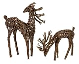 Set of 2 Serene Grazing Rattan Christmas Reindeer Set of 2 Serene Grazing Rattan Christmas Reindeer