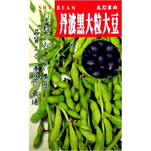 丹波黒大豆(一般種) 数量:1dl