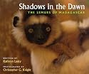 Shadows in the Dawn: The Lemurs of Madagascar