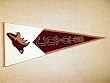 Phoenix Coyotes - Classic NHL Hockey (Pennants)