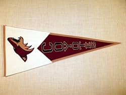 Phoenix Coyotes - Classic NHL Hockey (Pennants)