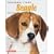 Training Your Beagle (Training Your Dog)
