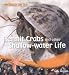 Hermit Crabs and Other Shallow Water Life (Under the Sea)