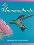 A Dazzle of Hummingbirds